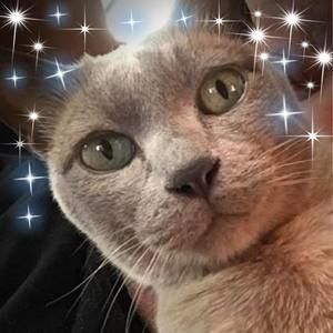 Meet your Posher, Vicki